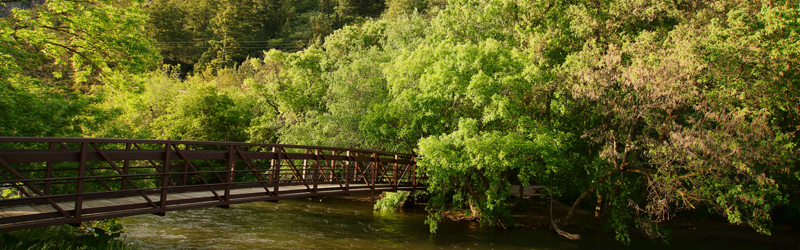 Utah Bridge and Water